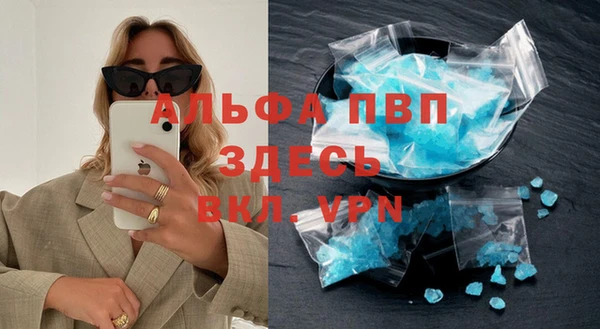 сатива Белоозёрский