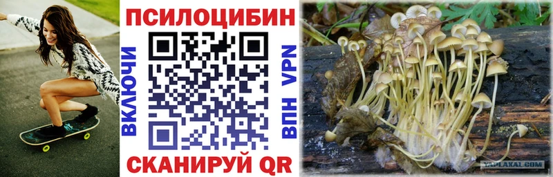 Галлюциногенные грибы GOLDEN TEACHER  наркота  Верещагино 